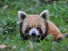 DSC_3796_bearbeitet