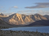 Pangong Tso/ Ladakh
