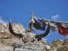 Yaktotem Markhatal