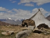 Nomadenzelt/Ladakh