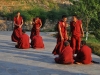 Debating Monks Parping